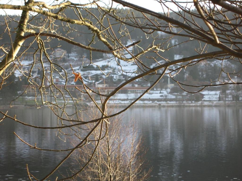 Hotel Restaurant De La Poste A Gérardmer Стая снимка